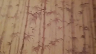 Legs everywhere stockingtype pantyhose